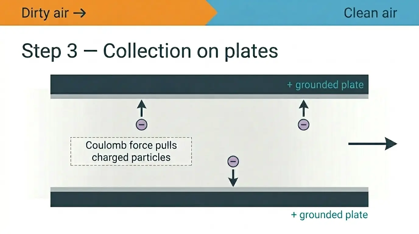 Sammelplatten